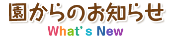 m点